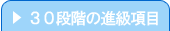 30�i�K�̐i������