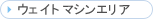 �E�F�C�g�}�V���G���A