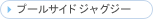 �v�[���T�C�h�W���O�W�[