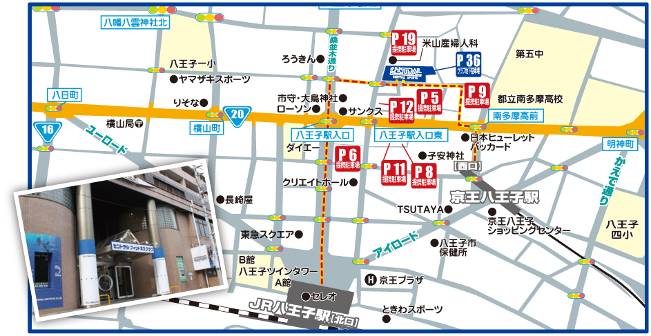 �Z���g�����t�B�b�g�l�X�N���u�����q