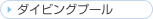 �_�C�r���O�v�[��