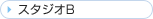 �X�^�W�IB