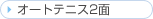 �I�[�g�e�j�X2��