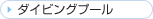 �_�C�r���O�v�[��