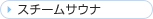 �X�`�[���T�E�i