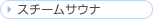 �X�`�[���T�E�i