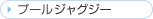 �v�[���W���O�W�[