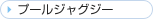 �v�[���W���O�W�[