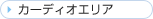 �J�[�f�B�I�G���A