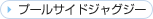 �v�[���T�C�h�W���O�W�[