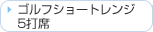 �S���t�V���[�g�����W5�Ő�