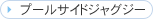 �v�[���T�C�h�W���O�W�[
