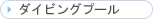 �_�C�r���O�v�[��