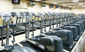 �N���X�g���[�i�[