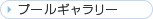 �v�[���M�������[