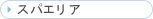 �X�p�G���A