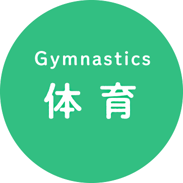 Gymnastics 体育