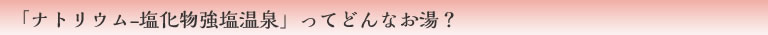 「ナトリウム-塩化物強塩温泉」ってどんなお湯？