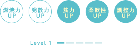 燃焼力UP、発散力UP、筋力UP、発散力UP、調整力UP、柔軟性UP