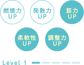 燃焼力UP、発散力UP、筋力UP、発散力UP、調整力UP、柔軟性UP