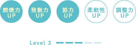 燃焼力UP、筋力UP、発散力UP、調整力UP、柔軟性UP