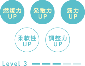 燃焼力UP、筋力UP、発散力UP、調整力UP、柔軟性UP