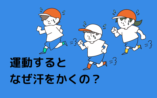 Energetic child NEWS "Why do you sweat when you exercise?"