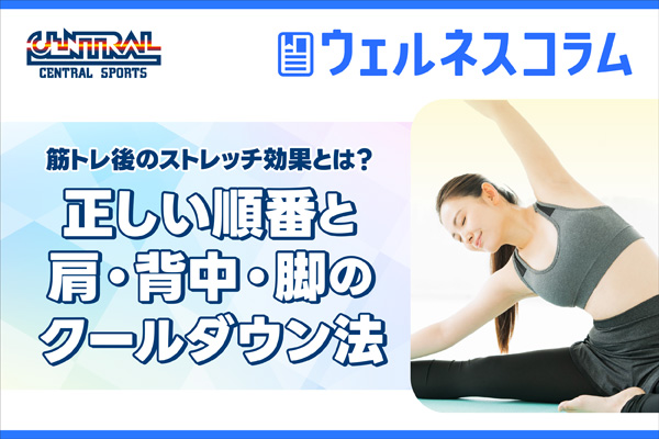 筋トレ後のストレッチ効果とは？正しい順番と肩・背中・脚のクールダウン法