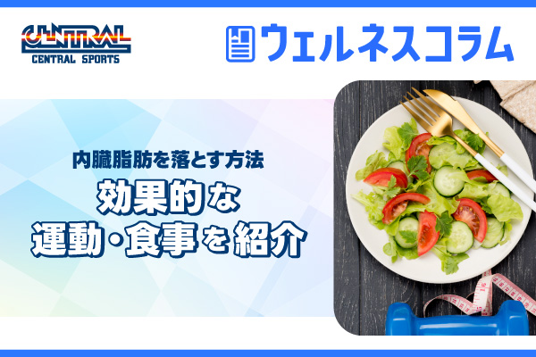 内臓脂肪を落とす方法｜効果的な運動・食事を紹介