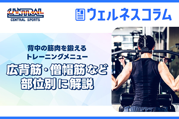 背中の筋肉を鍛えるトレーニングメニュー！広背筋・僧帽筋など部位別に解説