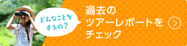 どんなことをするの？過去のツアーレポートをチェック