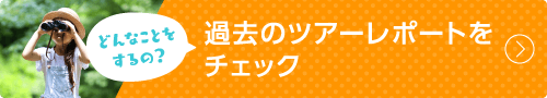 どんなことをするの？過去のツアーレポートをチェック