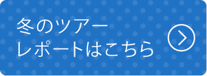 冬のツアーレポートはこちら
