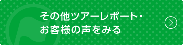 その他ツアーレポート・お客様の声をみる