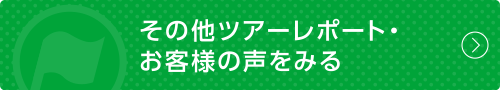 その他ツアーレポート・お客様の声をみる