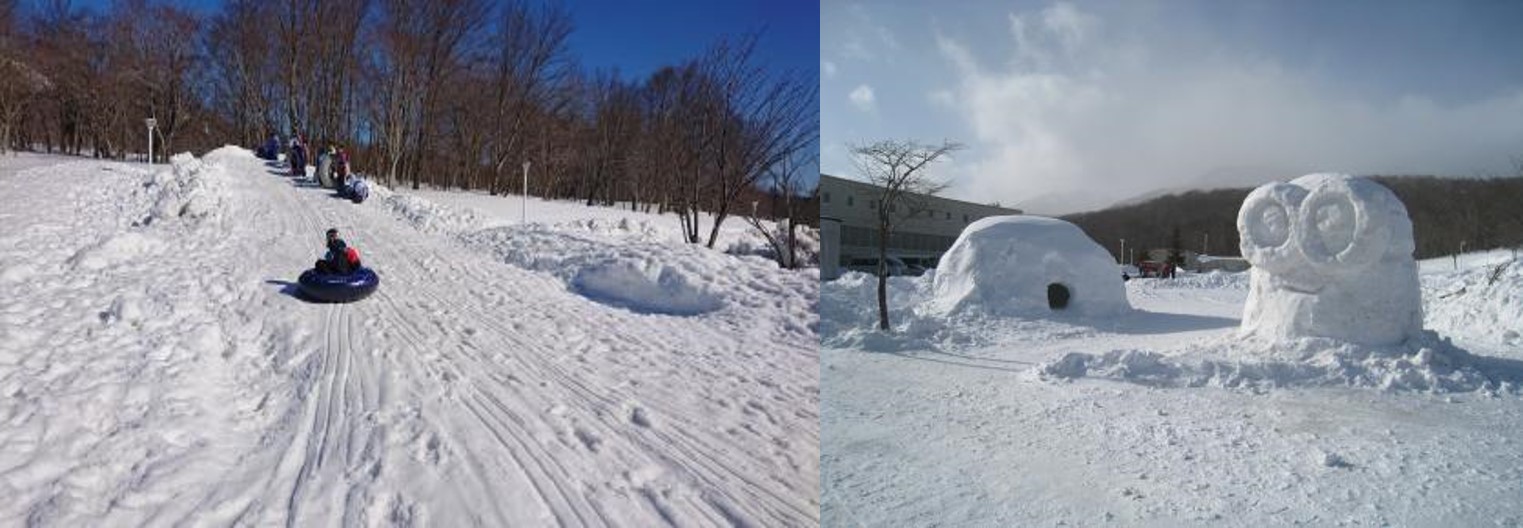 [Miyagi Area] Snow Adventure Kingdom Yukinko Festival in Kurikoma