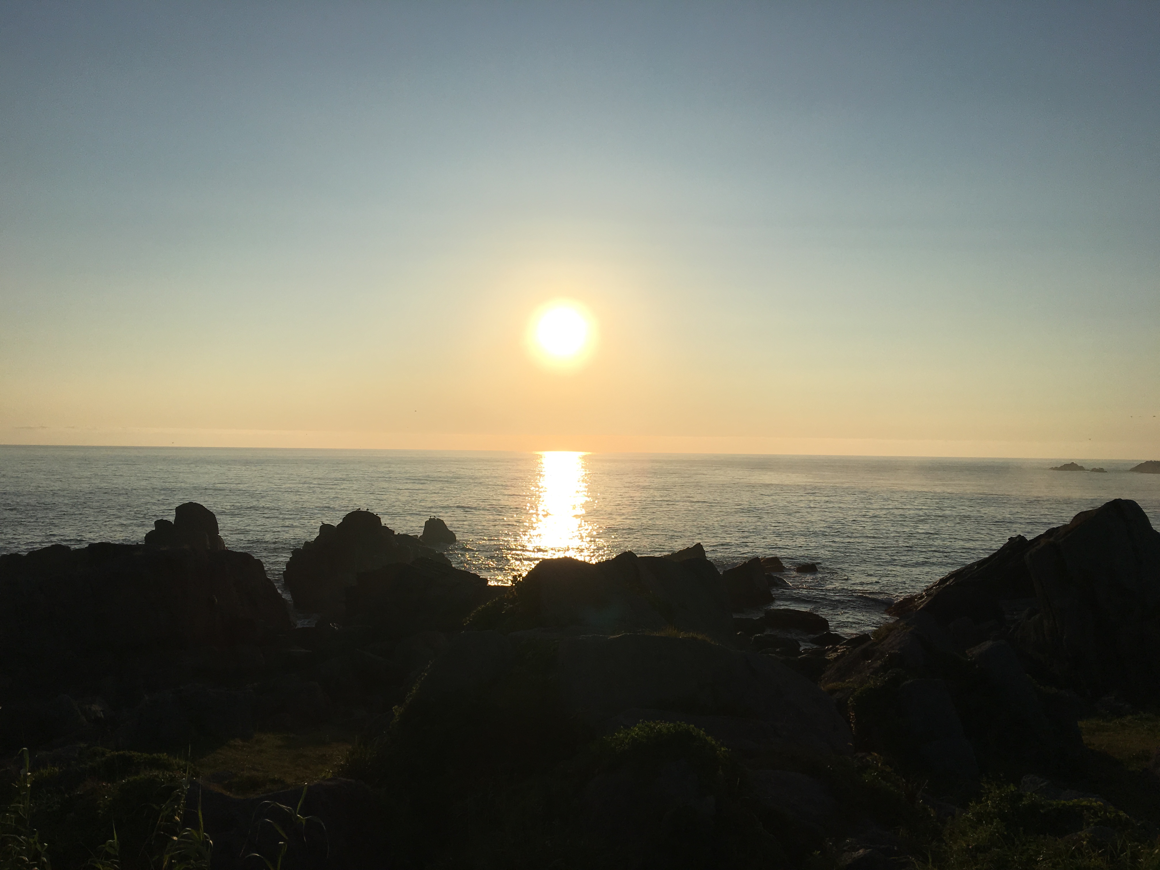 スタッフボイス