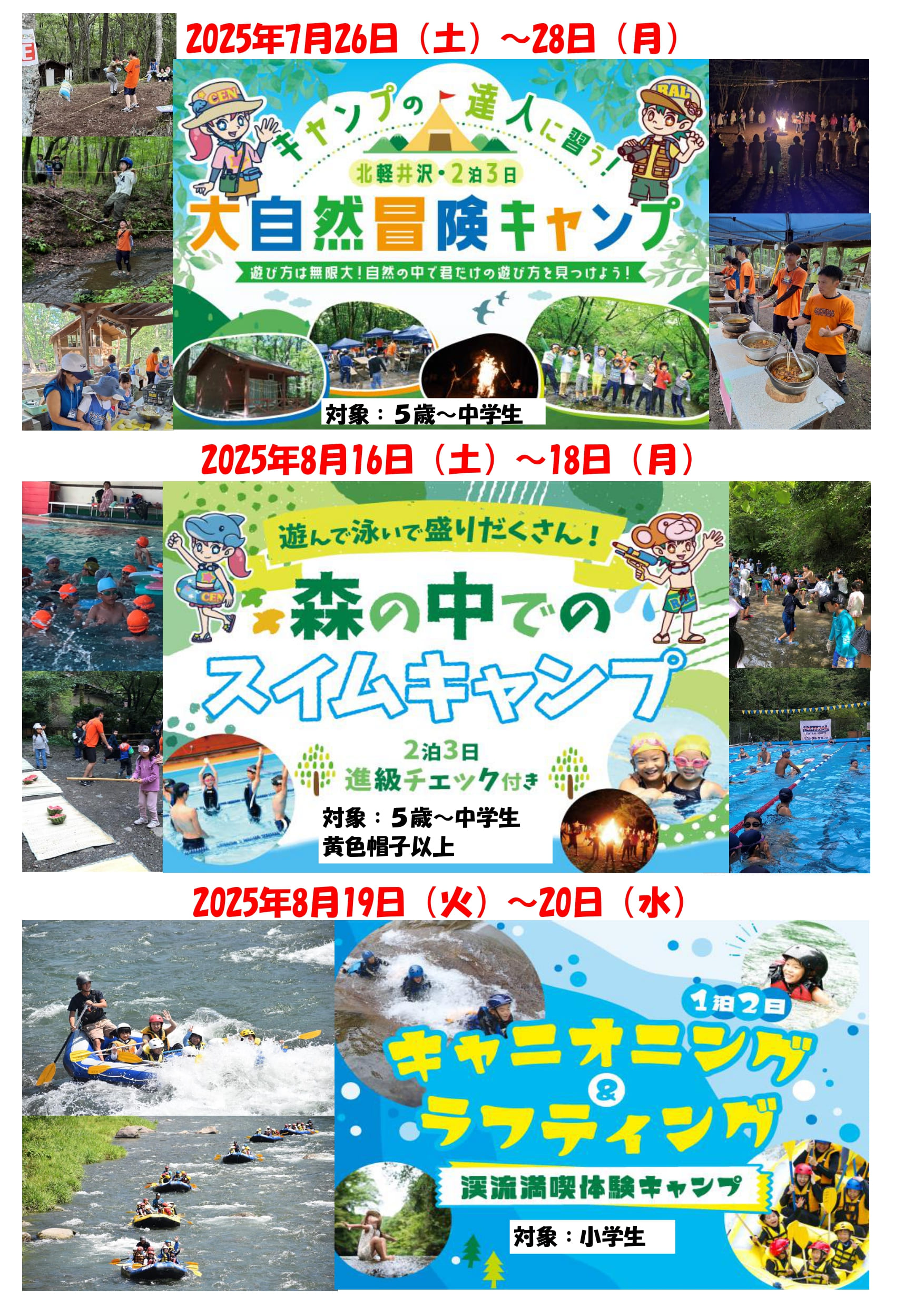 スタッフボイス画像