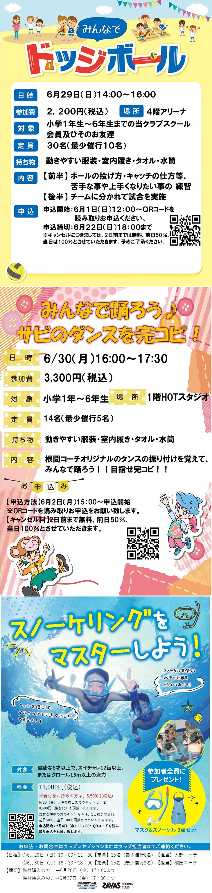 スタッフボイス画像