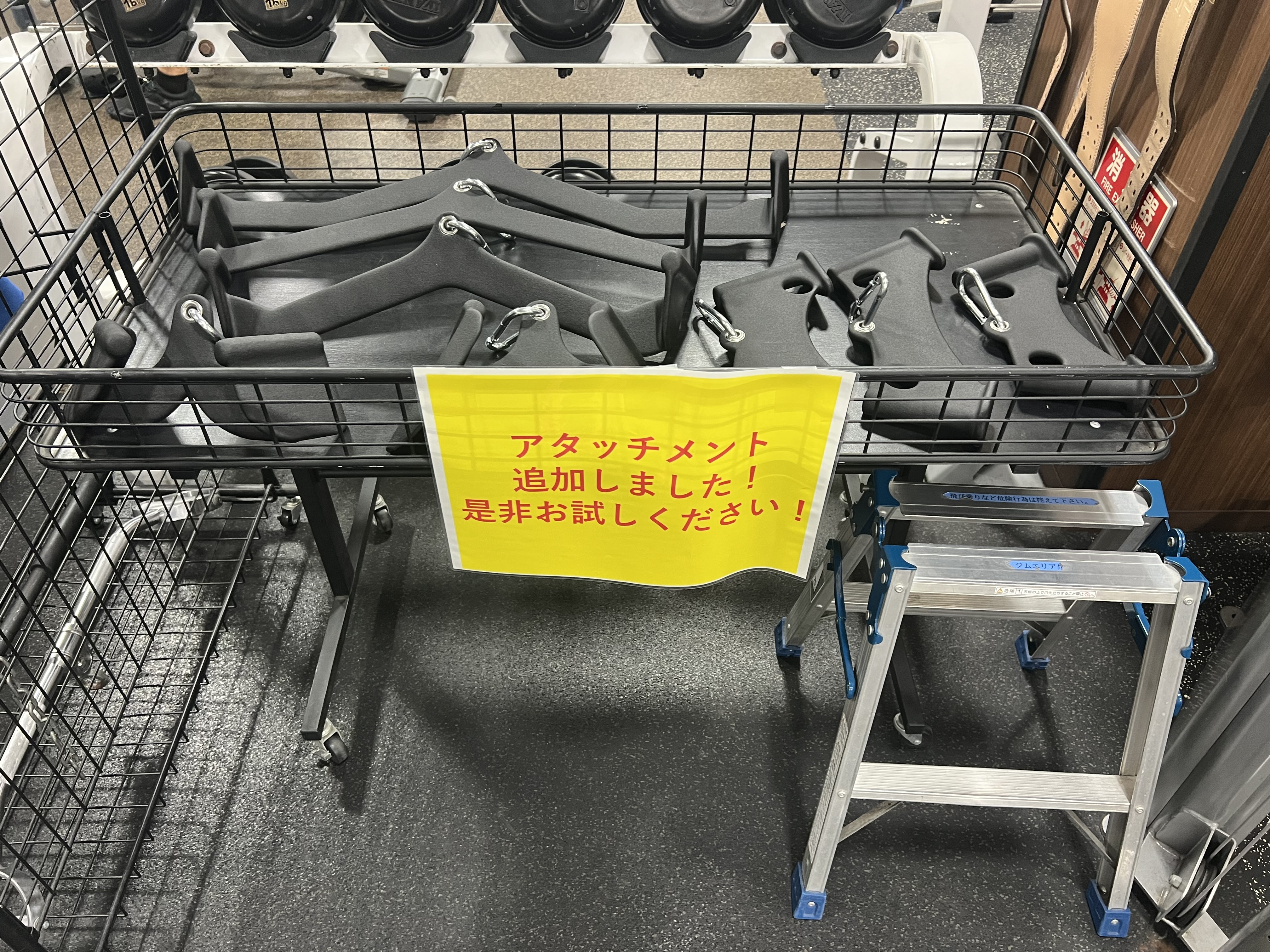 スタッフボイス