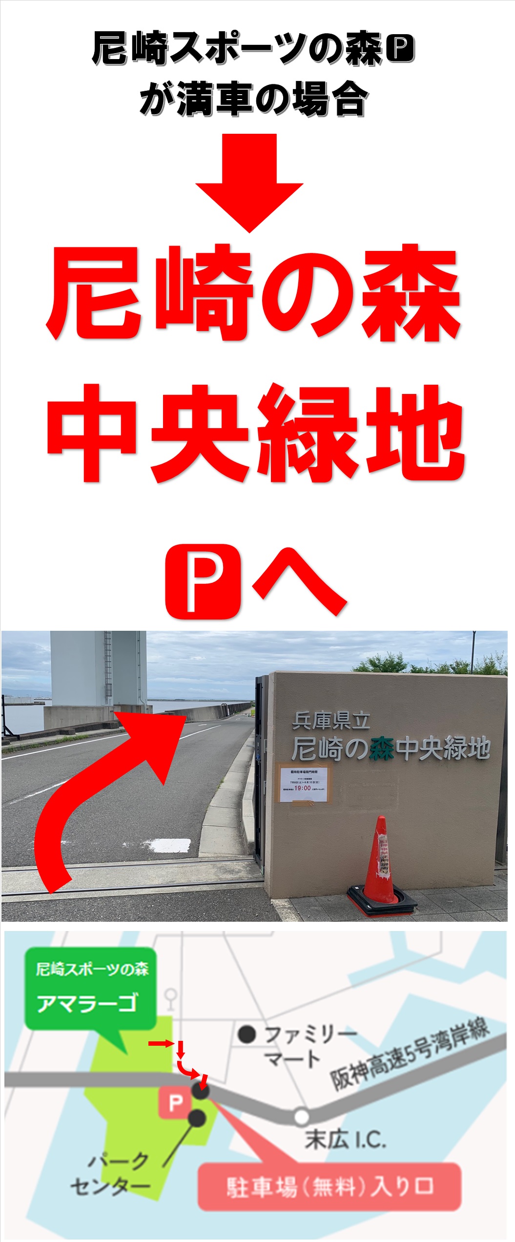クラブからのご案内
