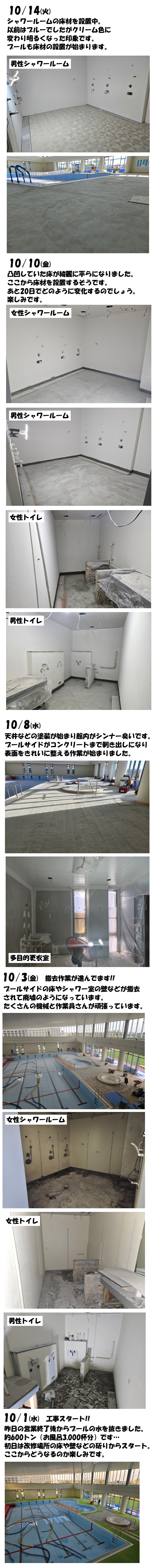 スタッフボイス画像