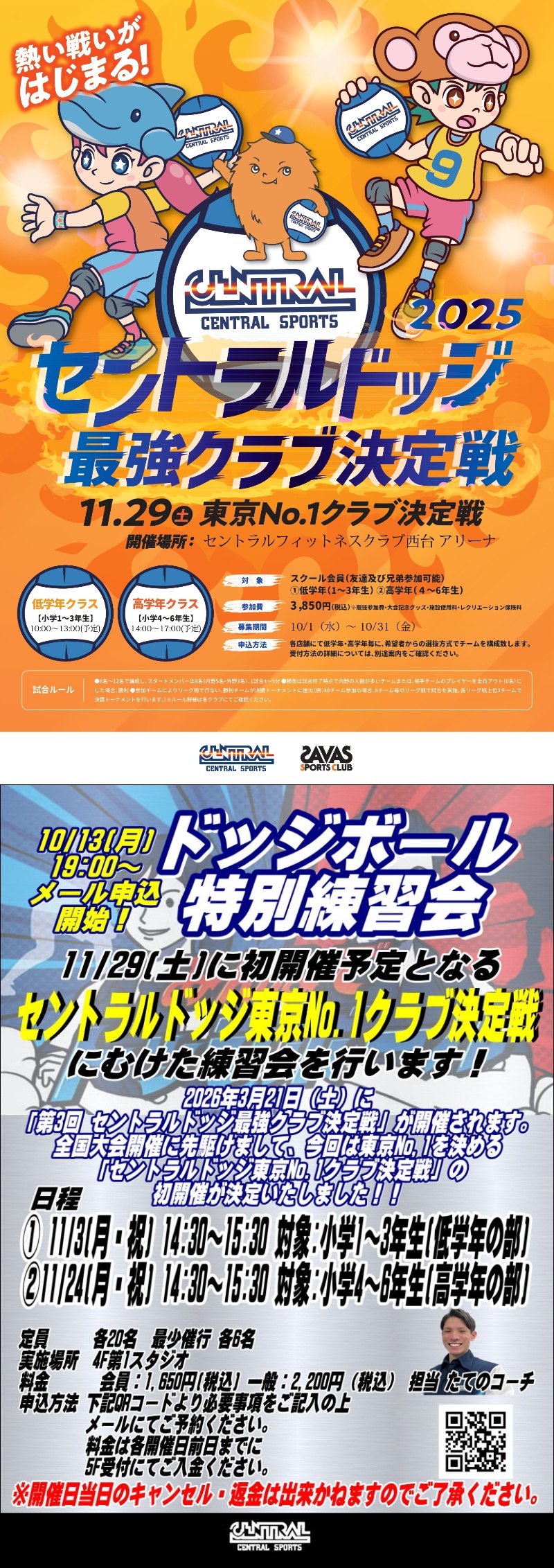 スタッフボイス画像
