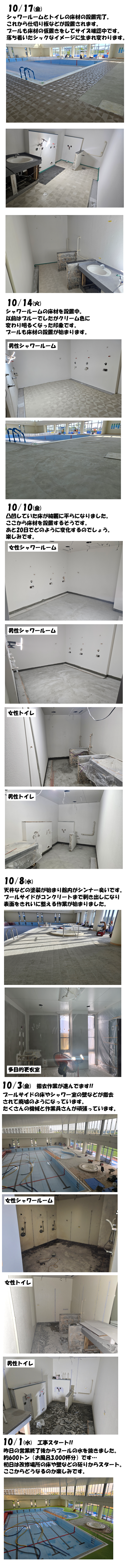 スタッフボイス