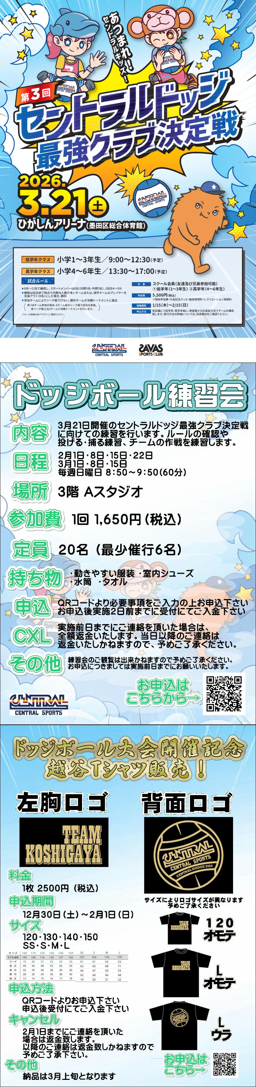 スタッフボイス画像