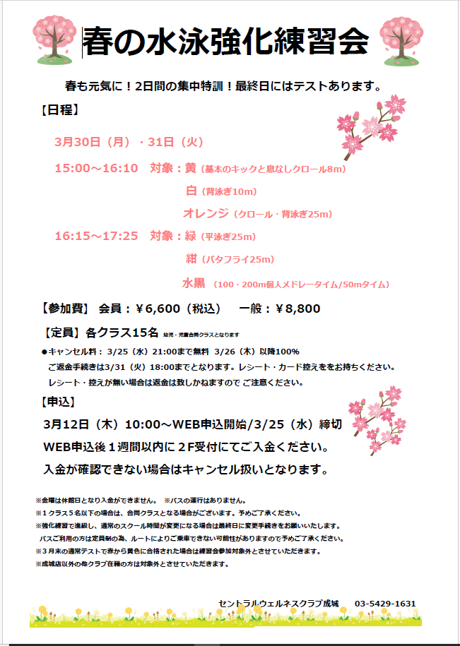 スタッフボイス画像