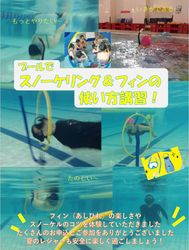 スタッフボイス