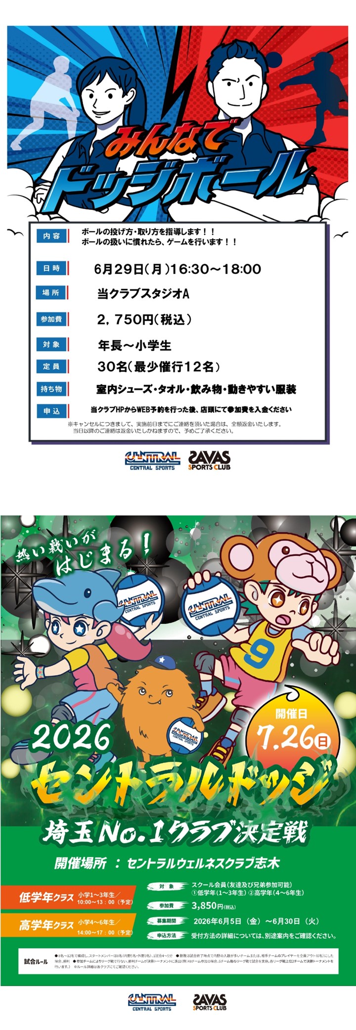 スタッフボイス画像