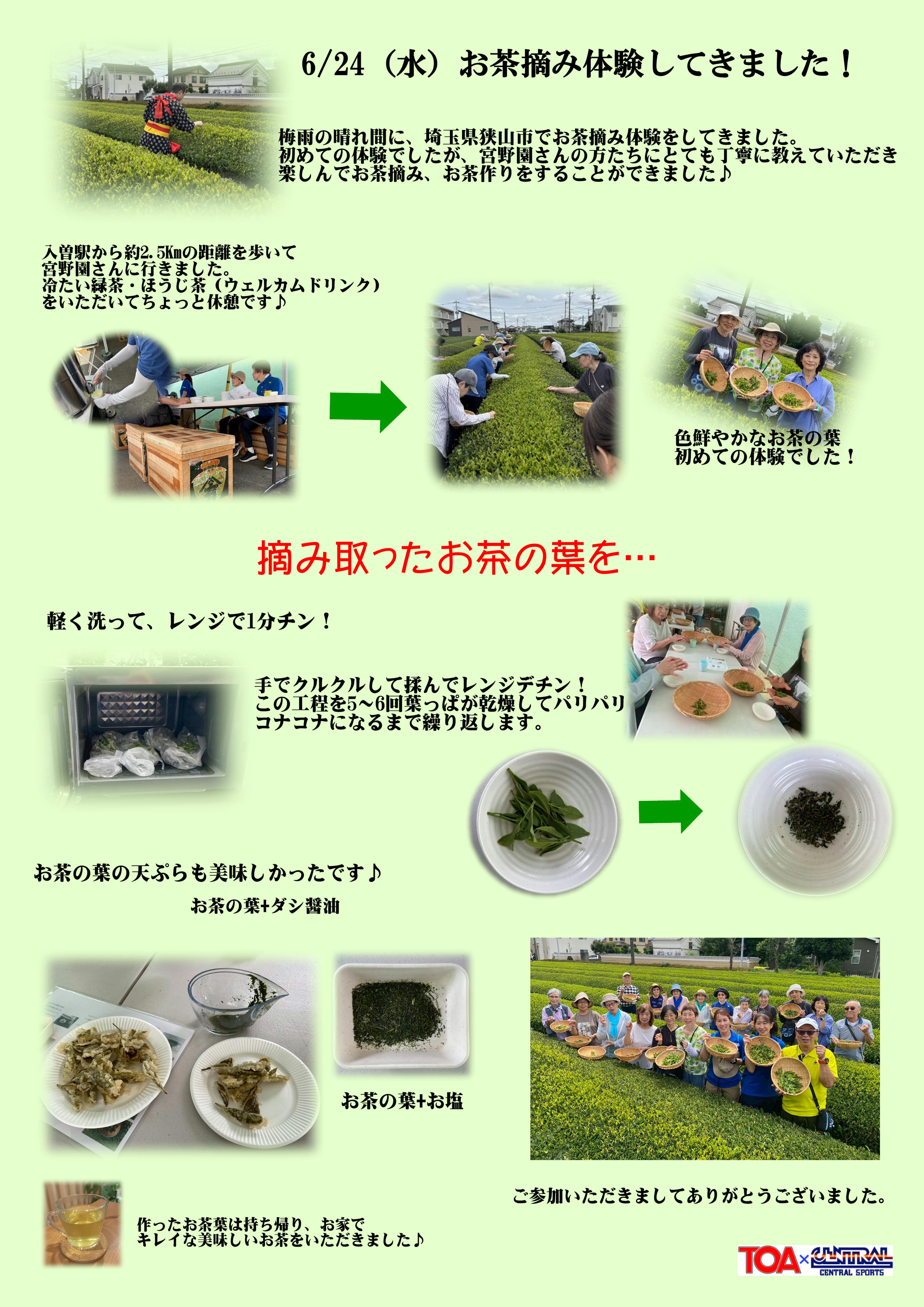 スタッフボイス画像