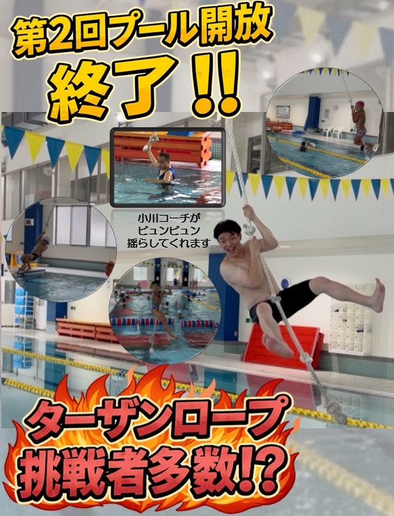スタッフボイス画像